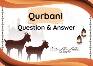 Qurbani Questions & Answers